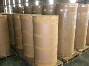 Opp Gum Tape / Bopp Pakiranje Tape Jumbo Roll